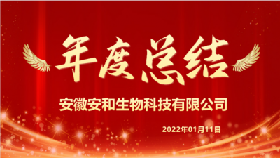 安徽安和2021年度總結、述職及簽狀大會(huì )